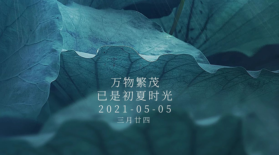 走进夏天，风雨满心绪
